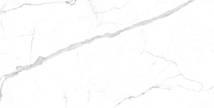 Керамогранит Ceraland Magical Statuario (60х120) глянец